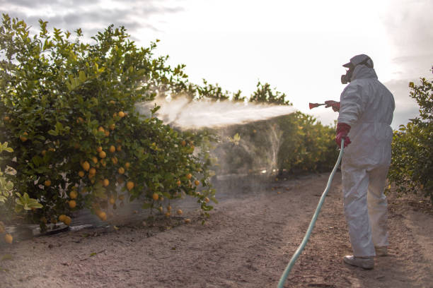 Best Best Pest Control Companies  in Dennis Port, MA