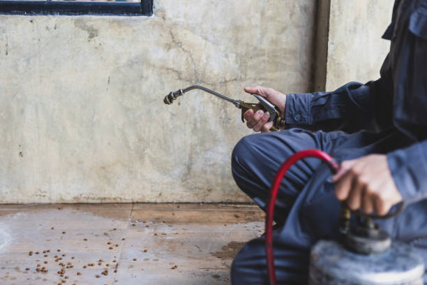 Pest Control Cost in Dennis Port, MA